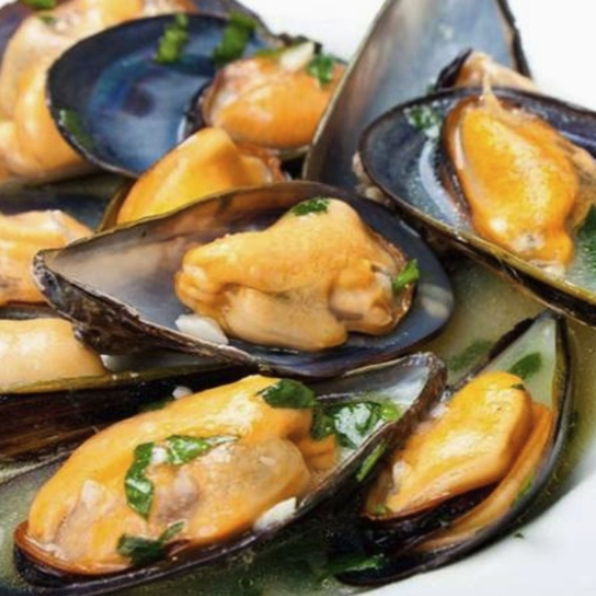 Green Mussels