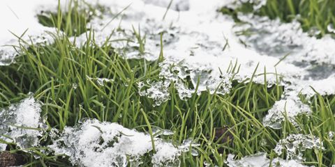3 Lawn Irrigation System Winterization Tips