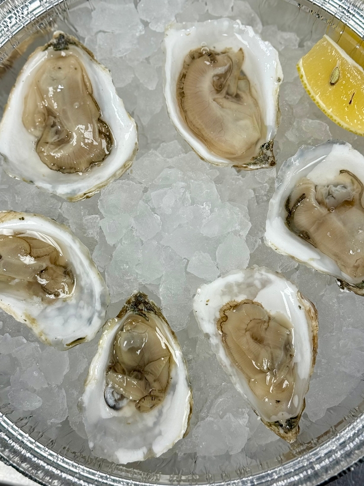 Oysters