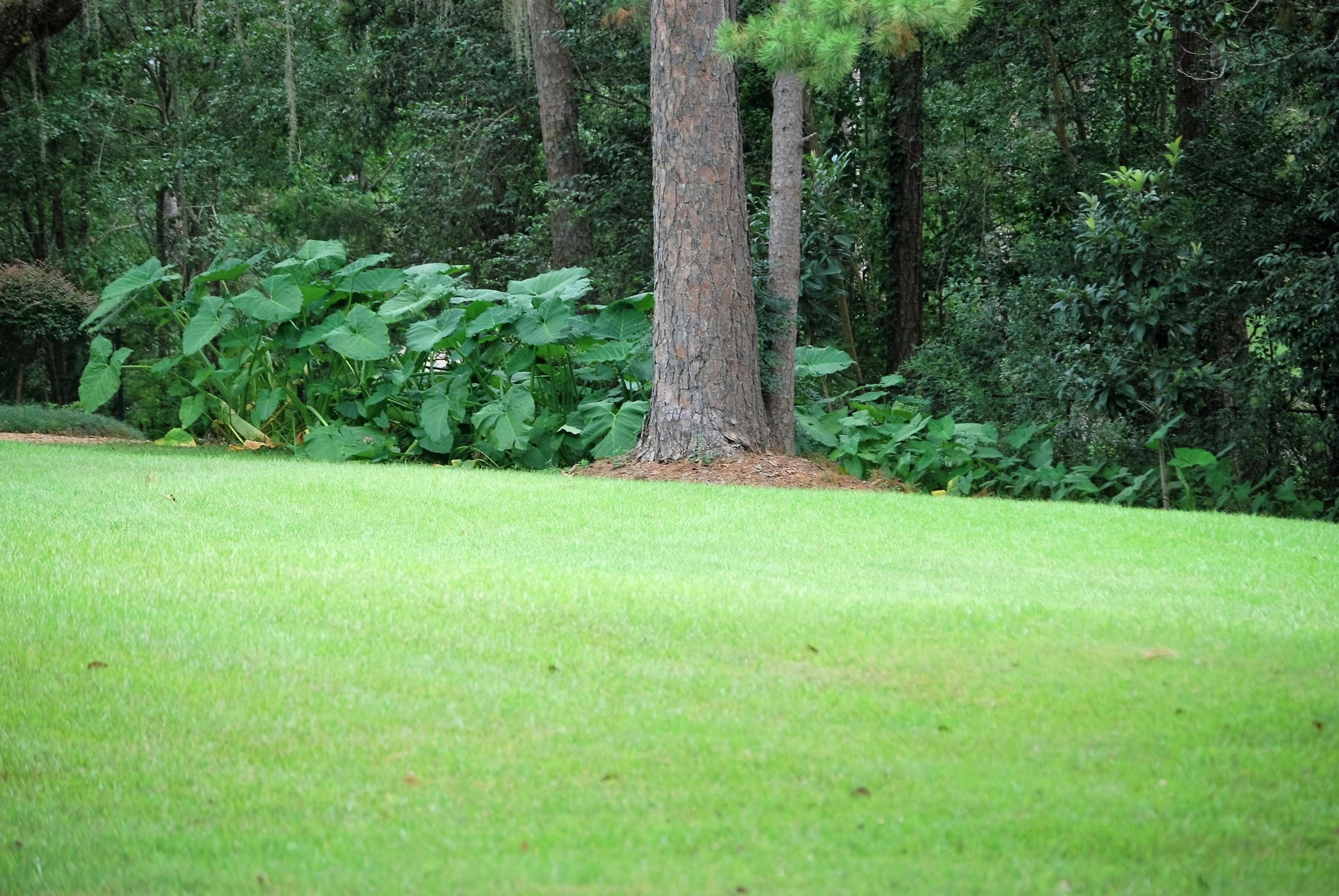 Dickerson Landscaping & Lawn Care | Tallahassee, FL Image