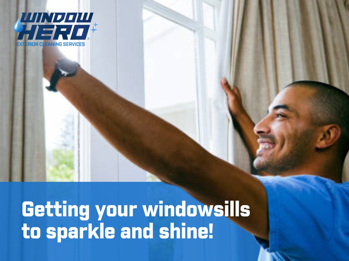 Window Hero Charlotte Image