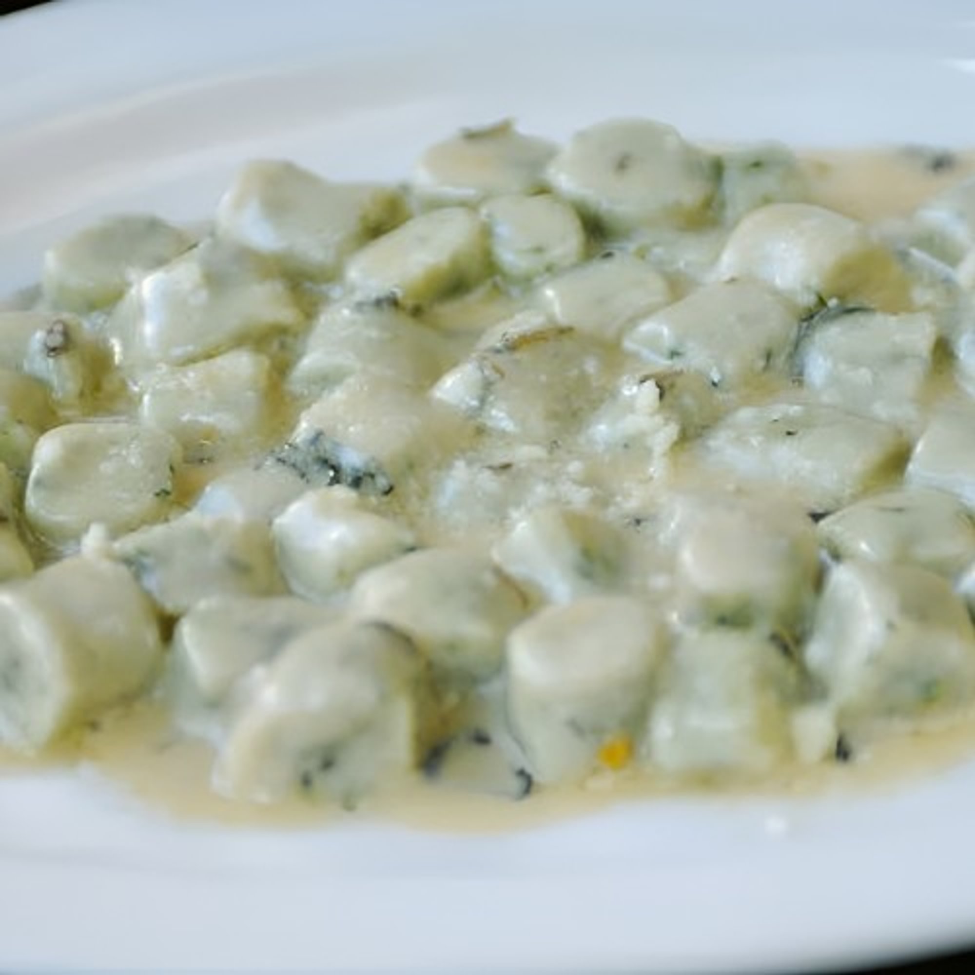 Gnudi