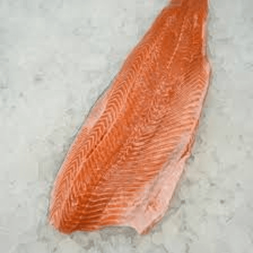 Salmon