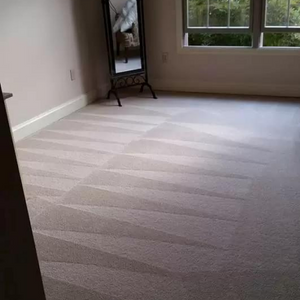 Carpet Cleaning