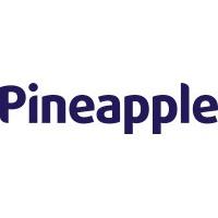 Pineapple Contracts Photo