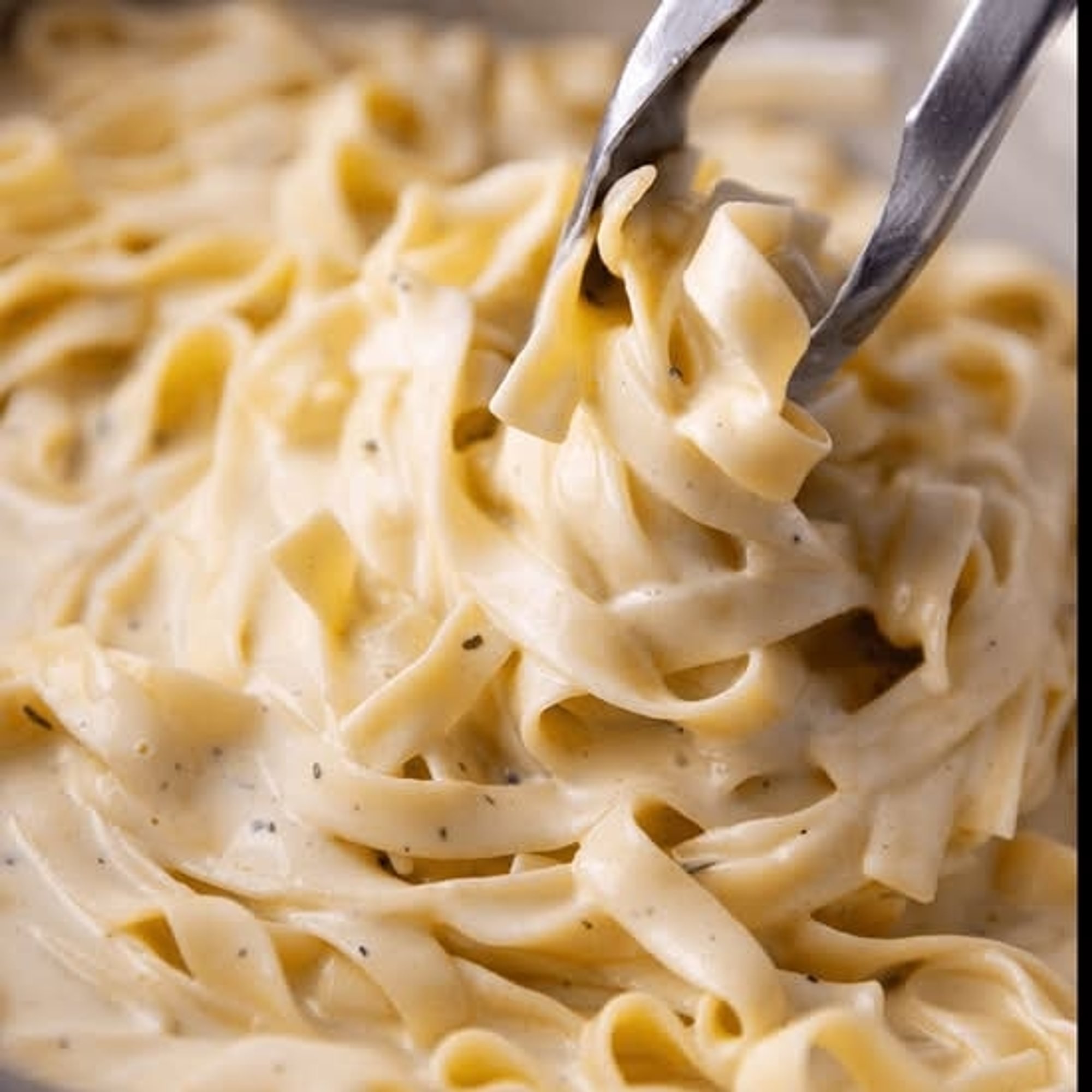 Fettuccine Alfredo