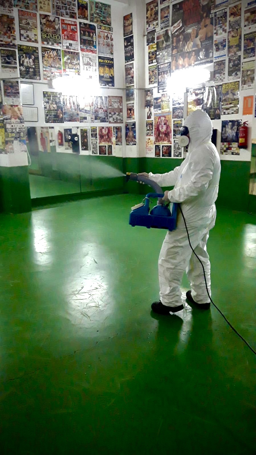 Galería en miniatura
