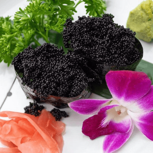 Black Tobiko / Black Caviar Nigiri