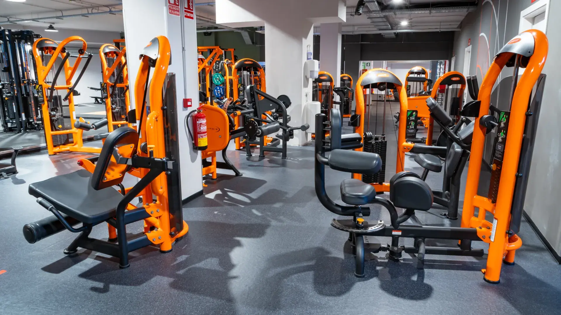 Galería de imágenes