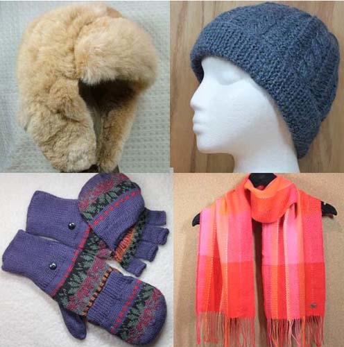 Blue Mesa Alpacas Logo