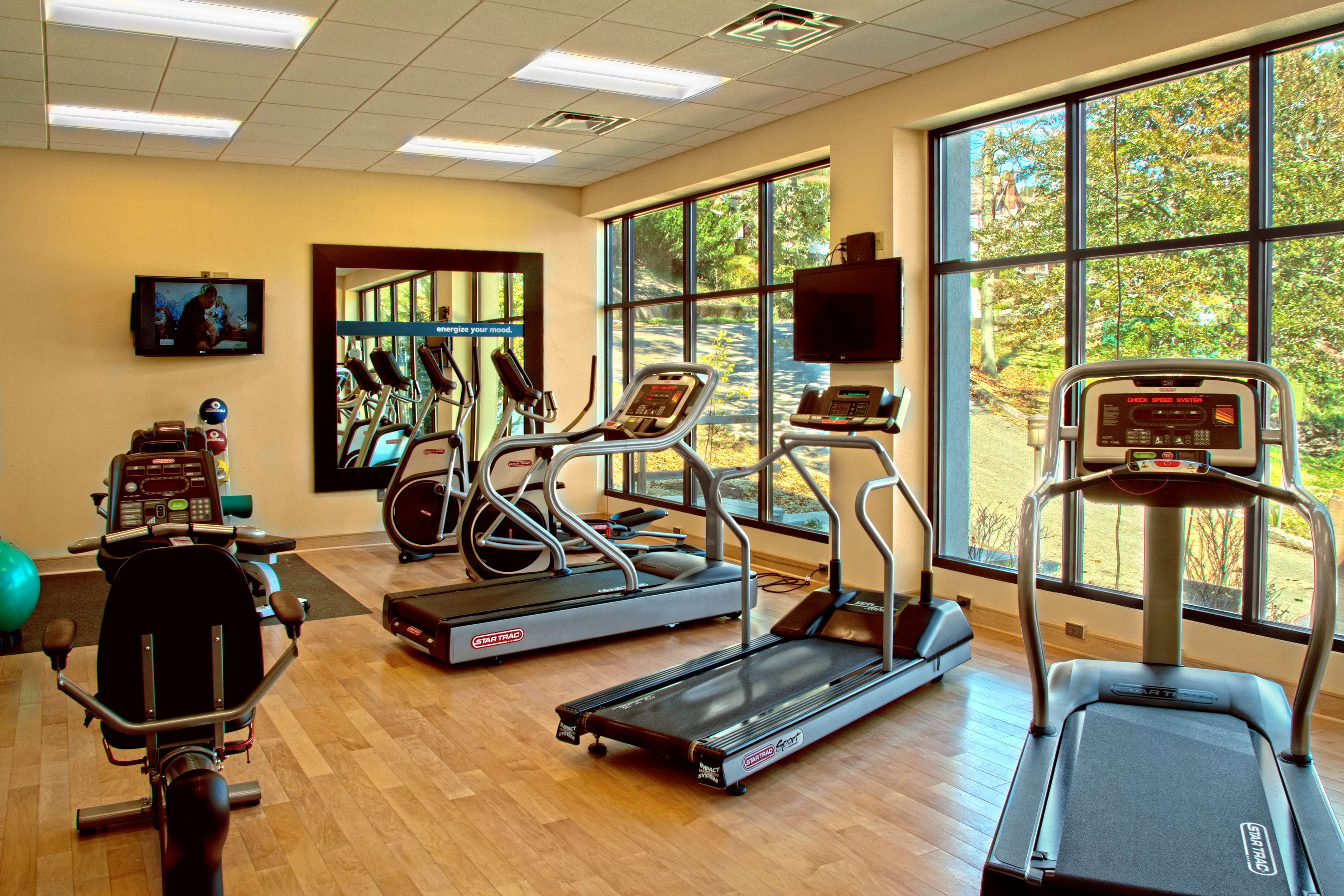 Health club  fitness center  gym