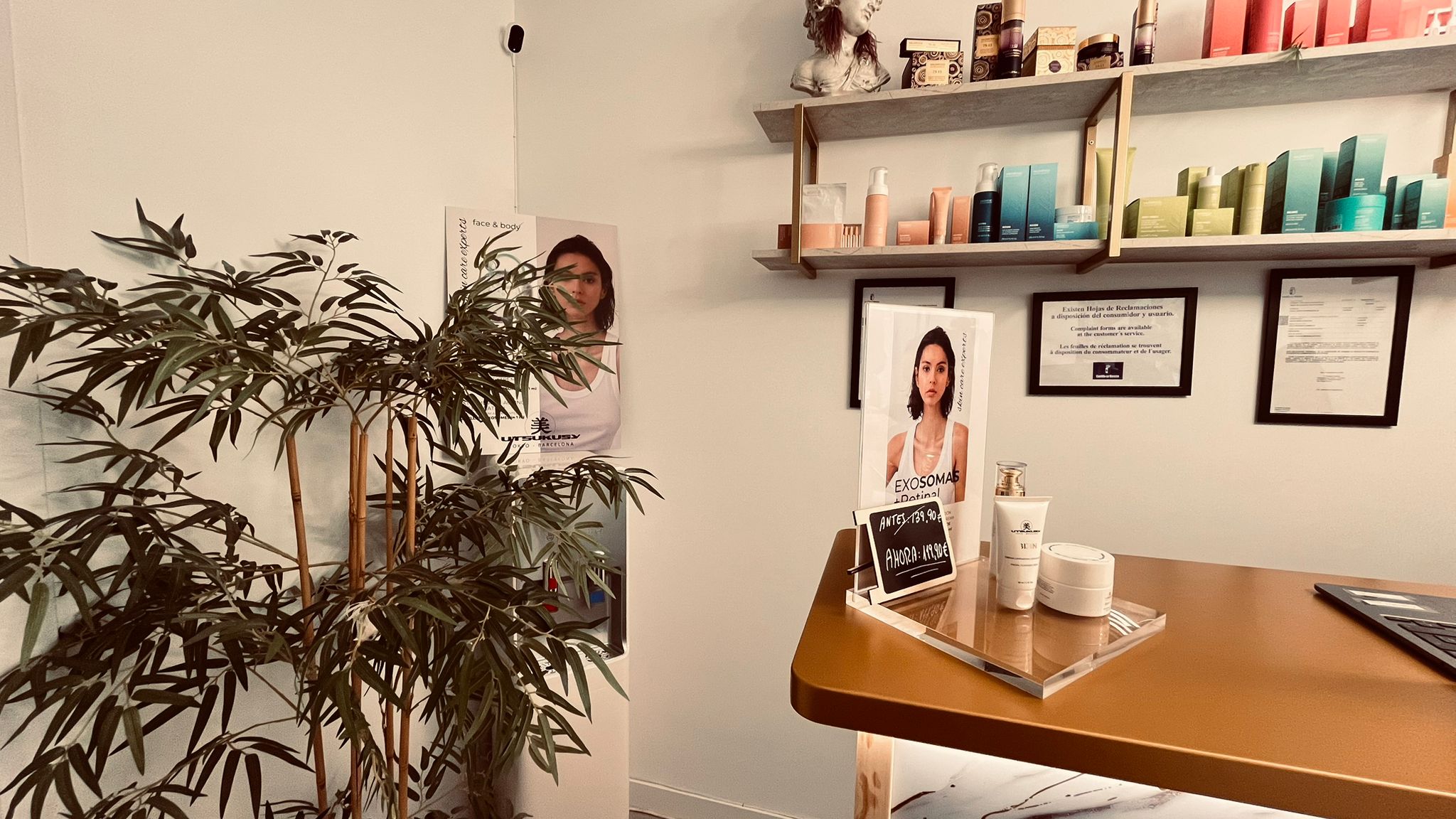 Galería en miniatura