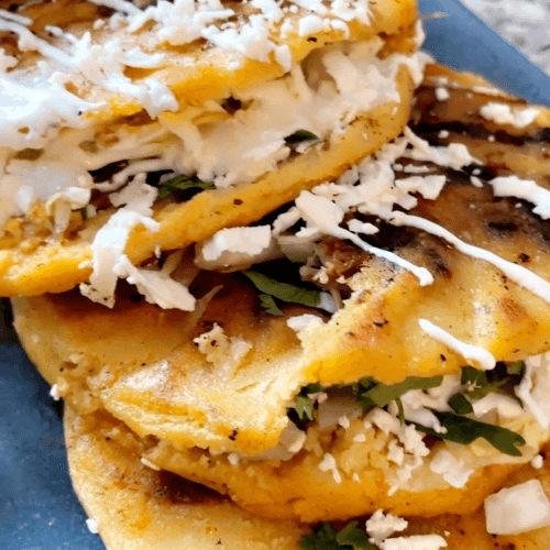 Birria Pupusas (3)