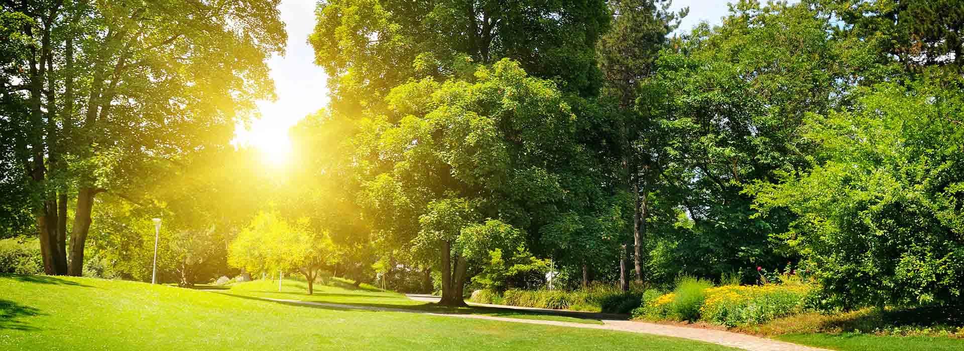 Keeping It Green Logo