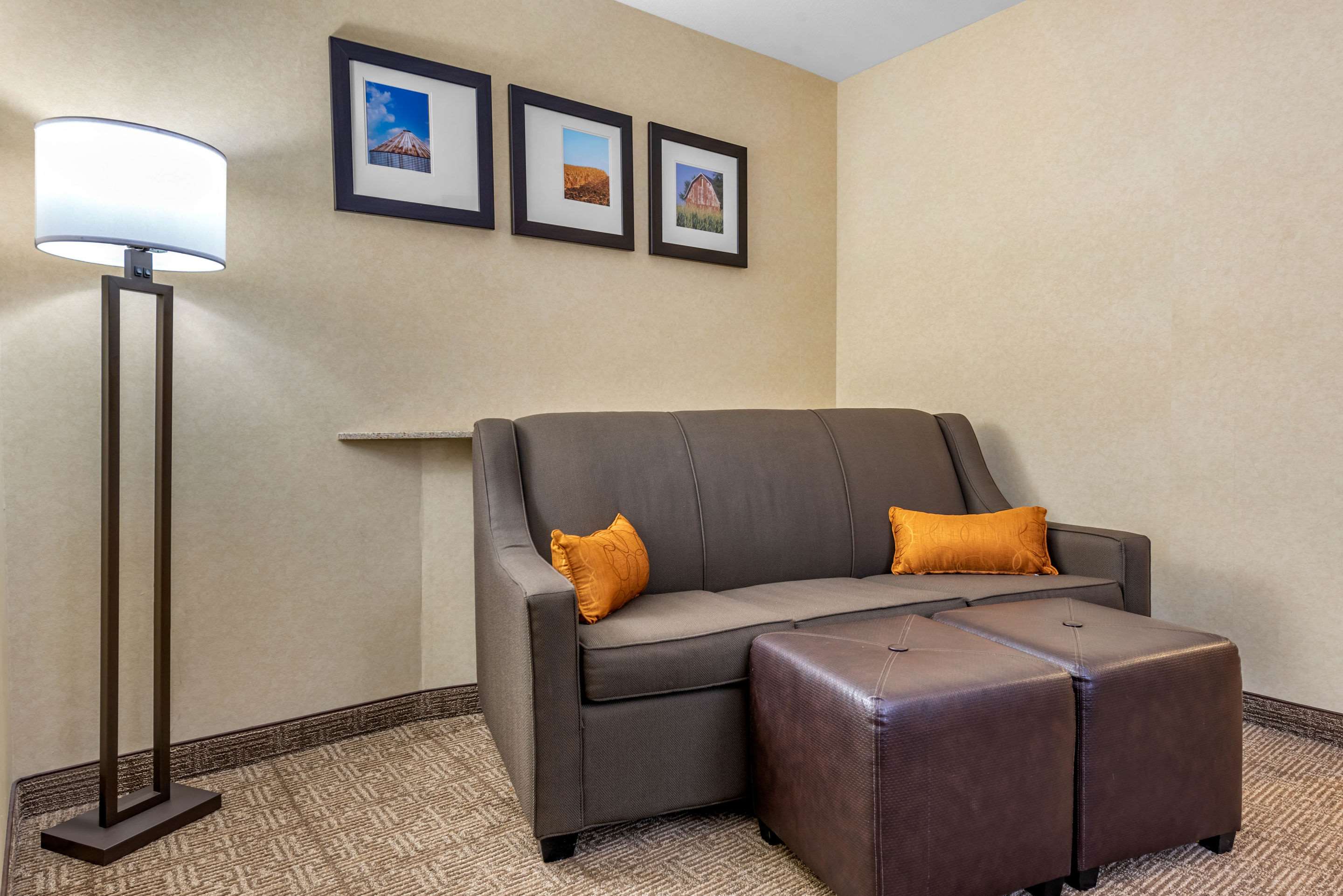 Comfort Suites South Photo