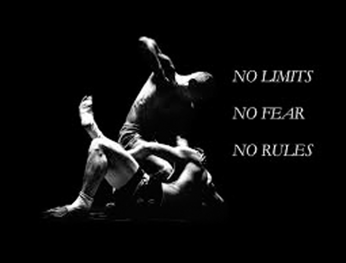 MMA (Mixed Martial Arts) Sugarhouse