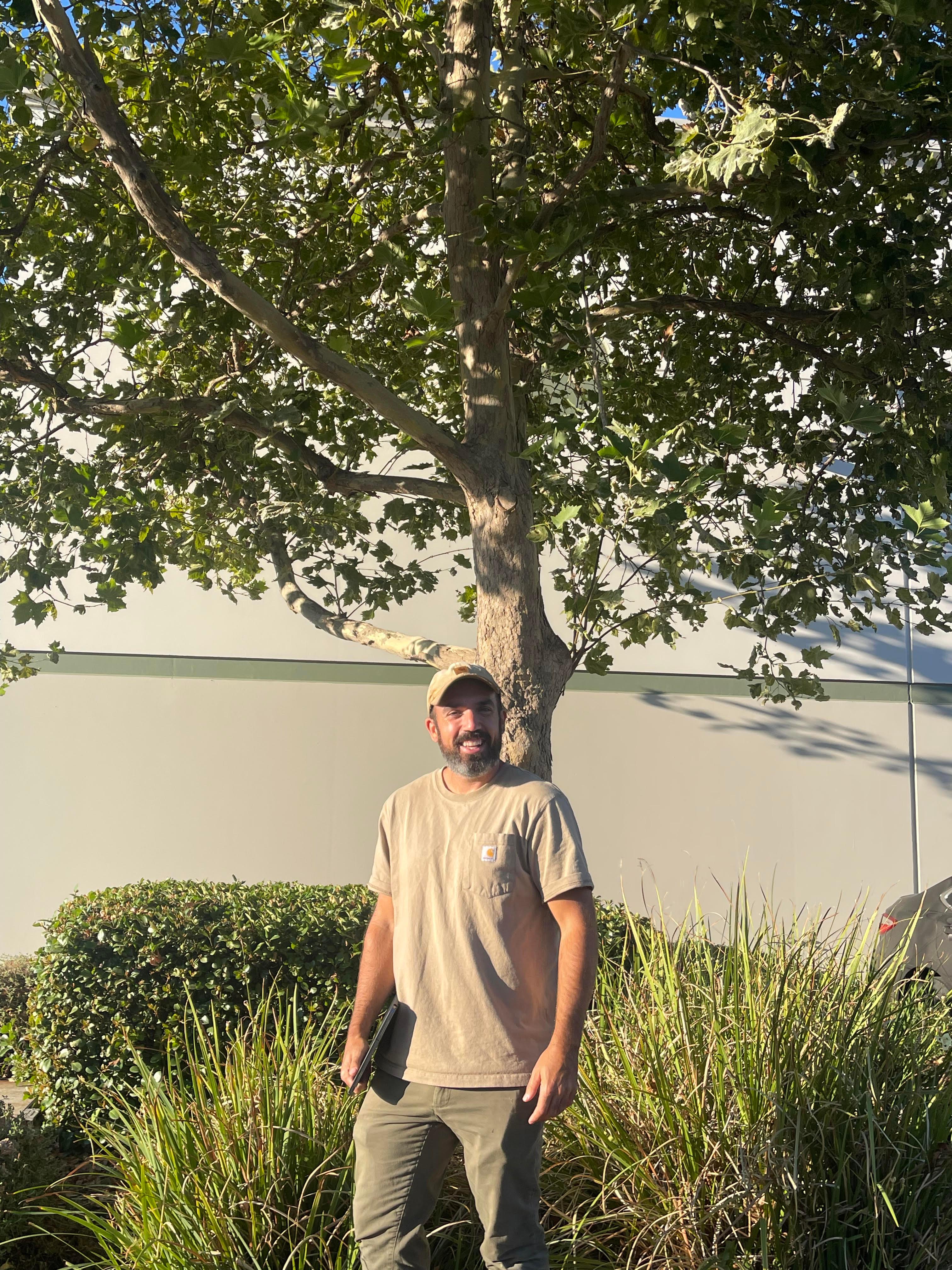 Capital Arborists, Inc. Image