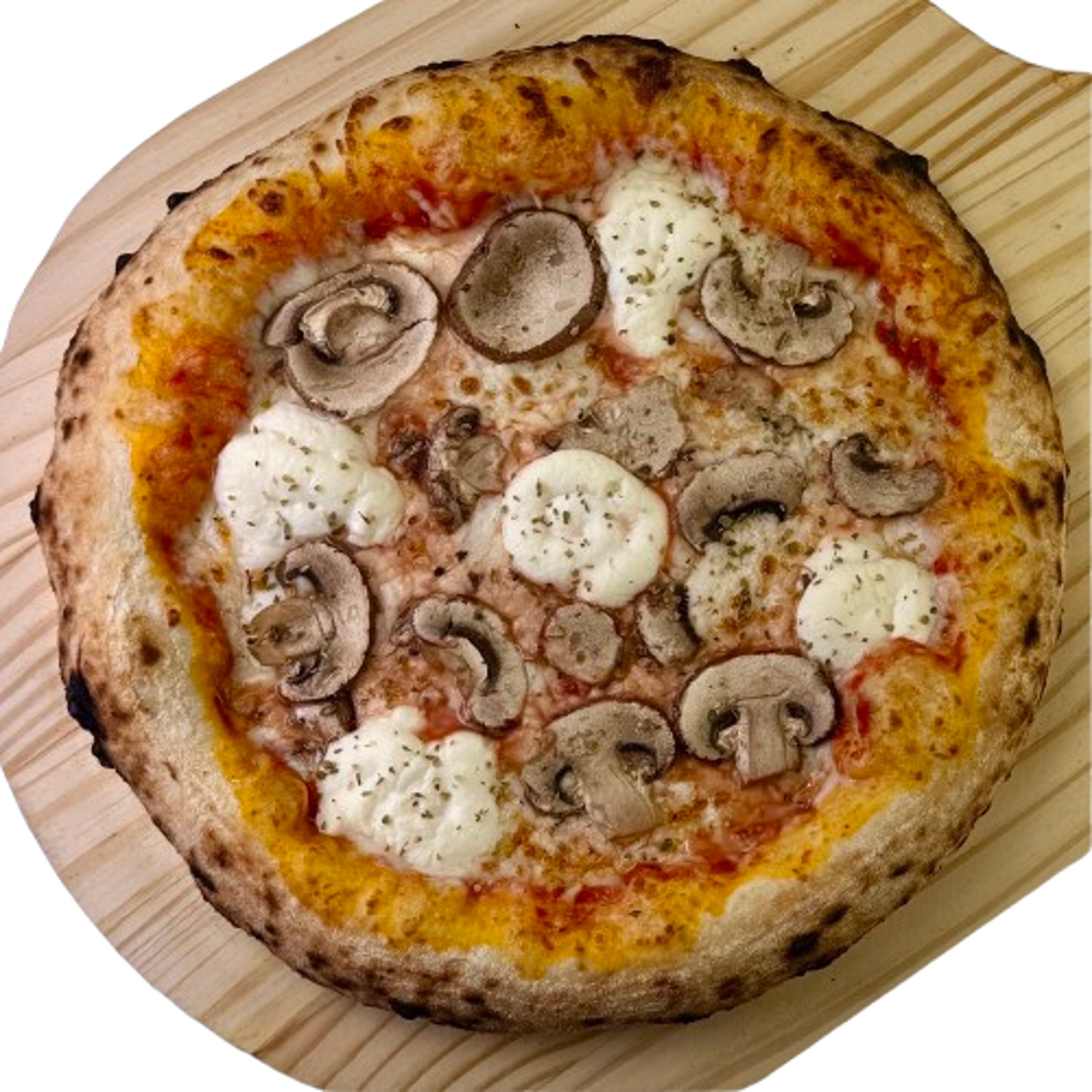Mushroom & Ricotta