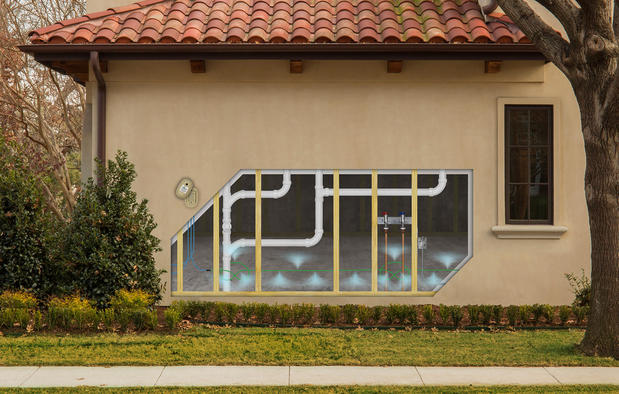 Images HomeTeam Pest Defense