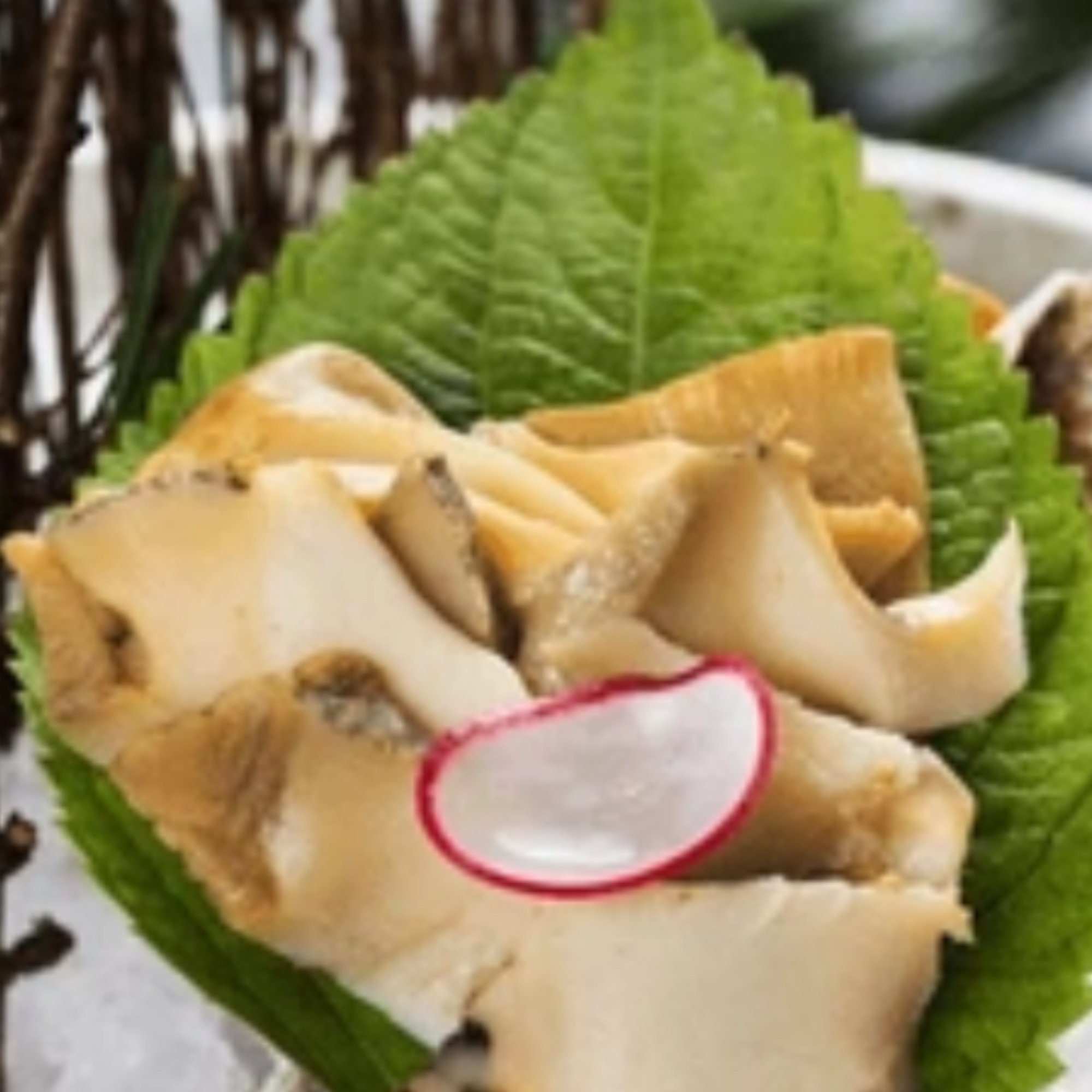 Conch Sashimi