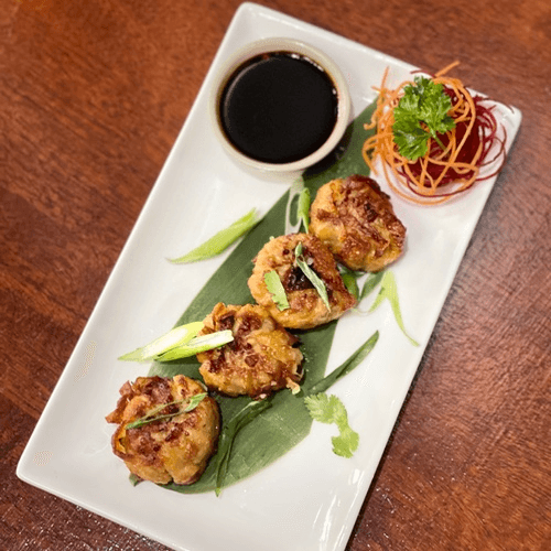 Chicken Dumplings