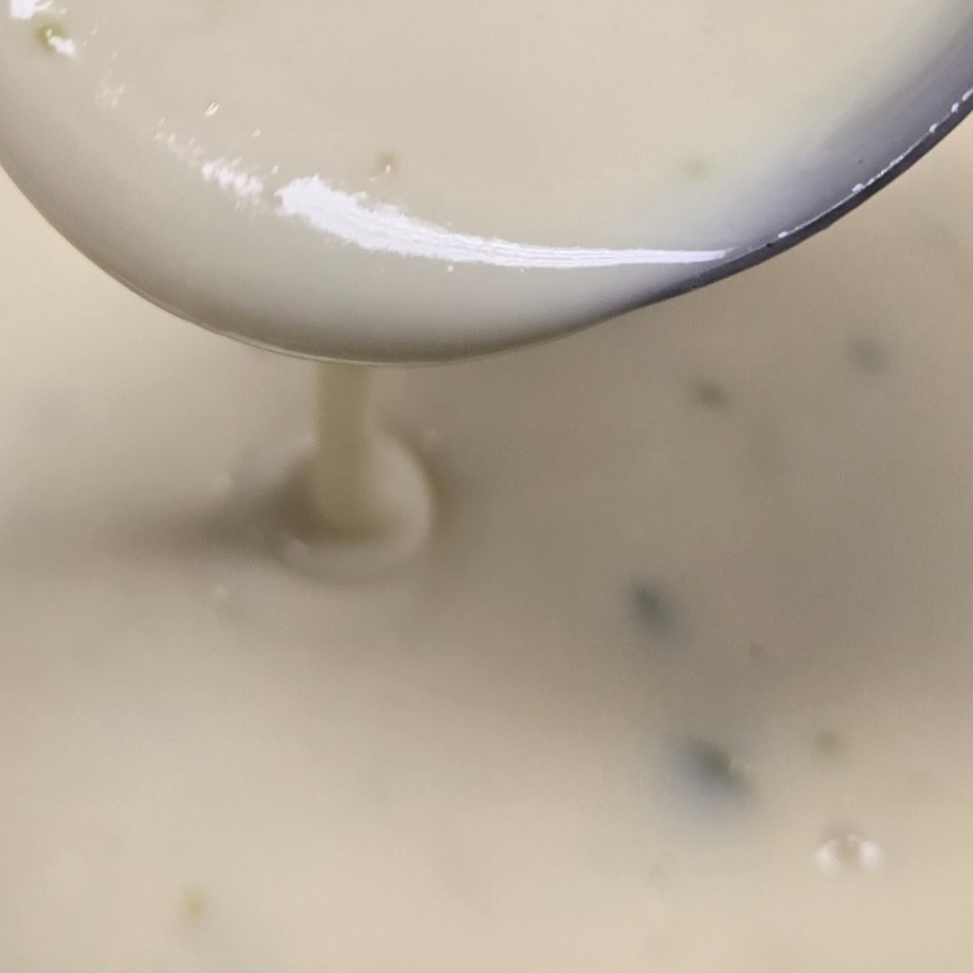 Queso
