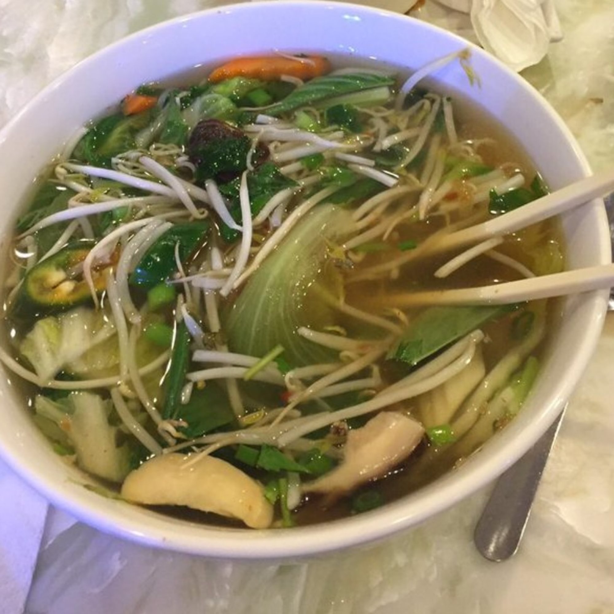 Assorted Vegetables Noodle Soup