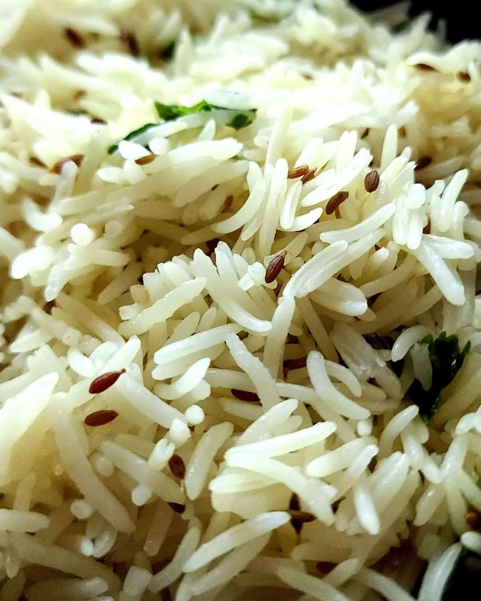 Side rice 22oz