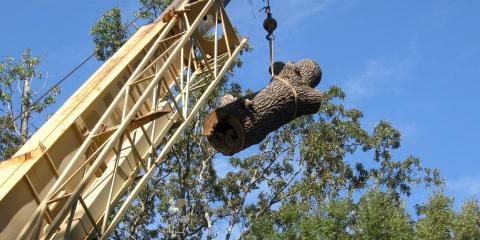 Lamb Tree Service Image
