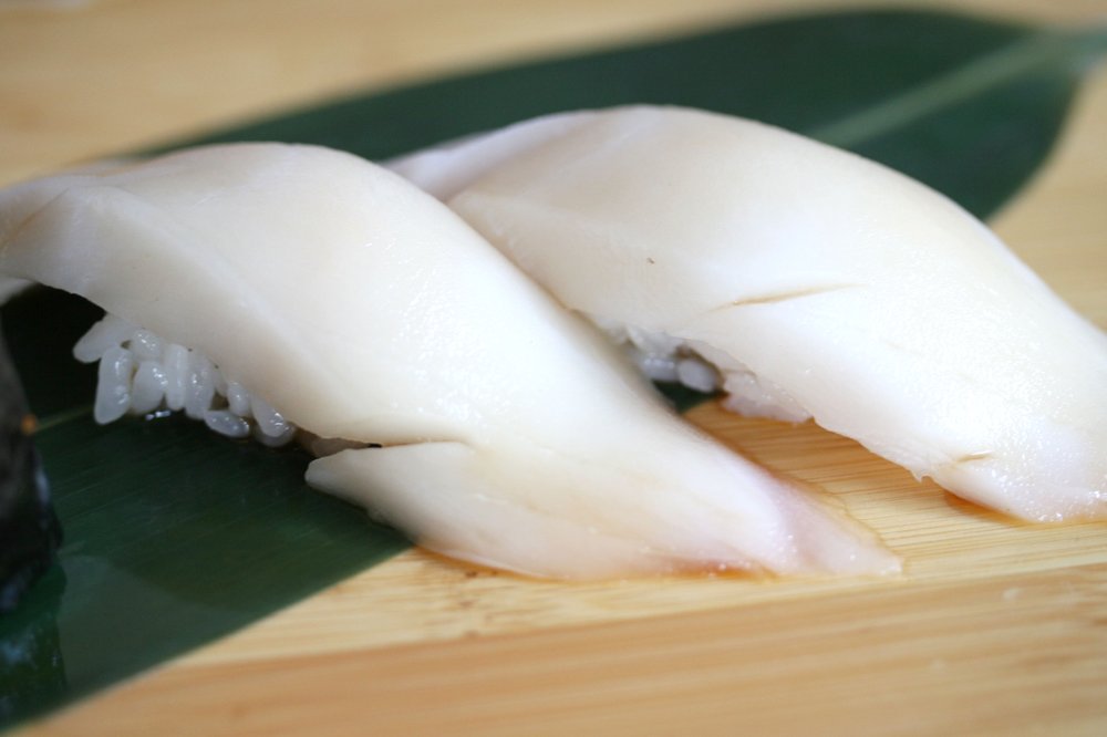 White Fish