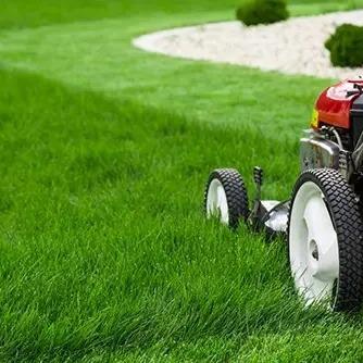 Travis Preston Landscaping Logo