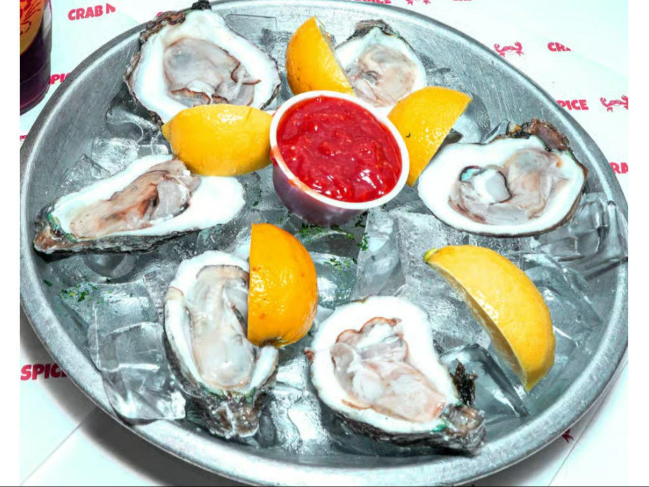 Oyster (6)