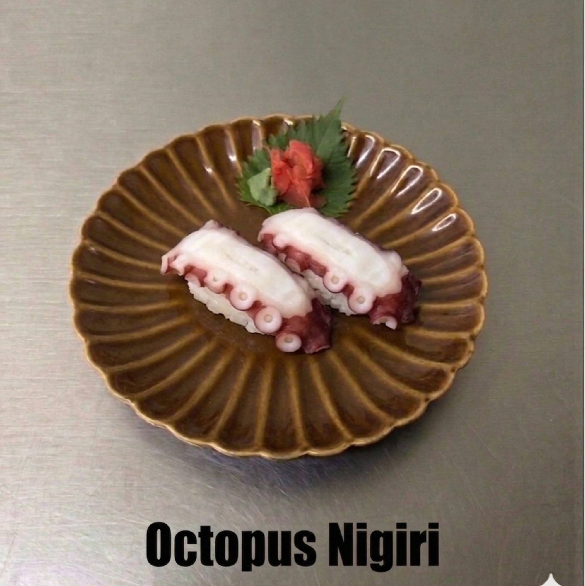 Octopus / Tako
