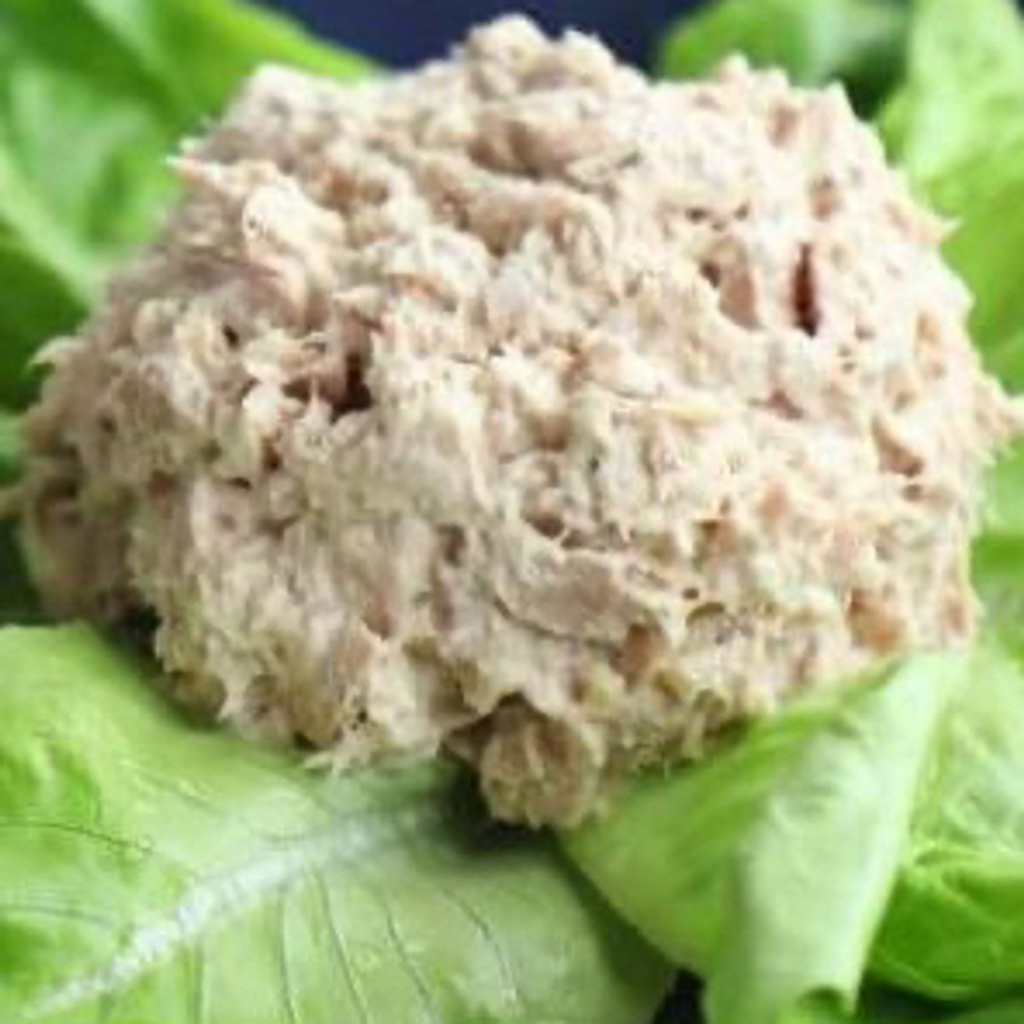 Scoop Tuna