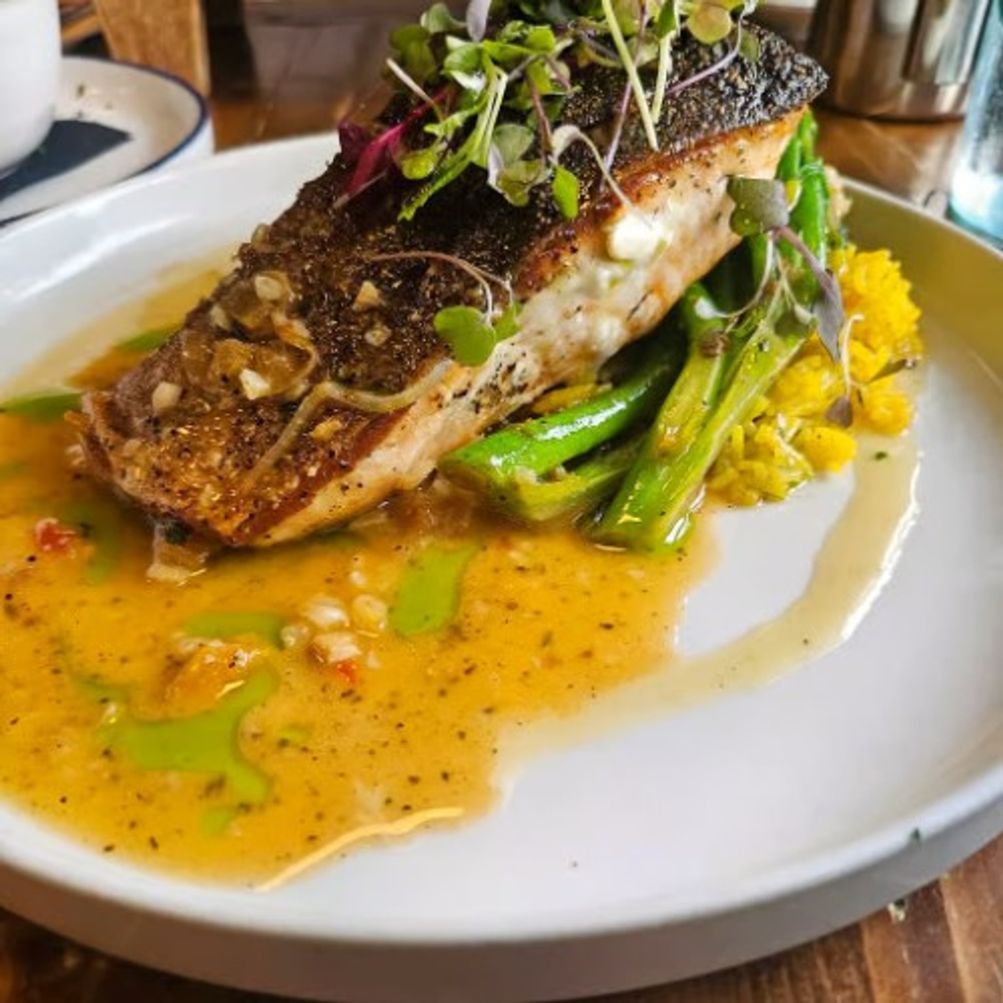 Salmon