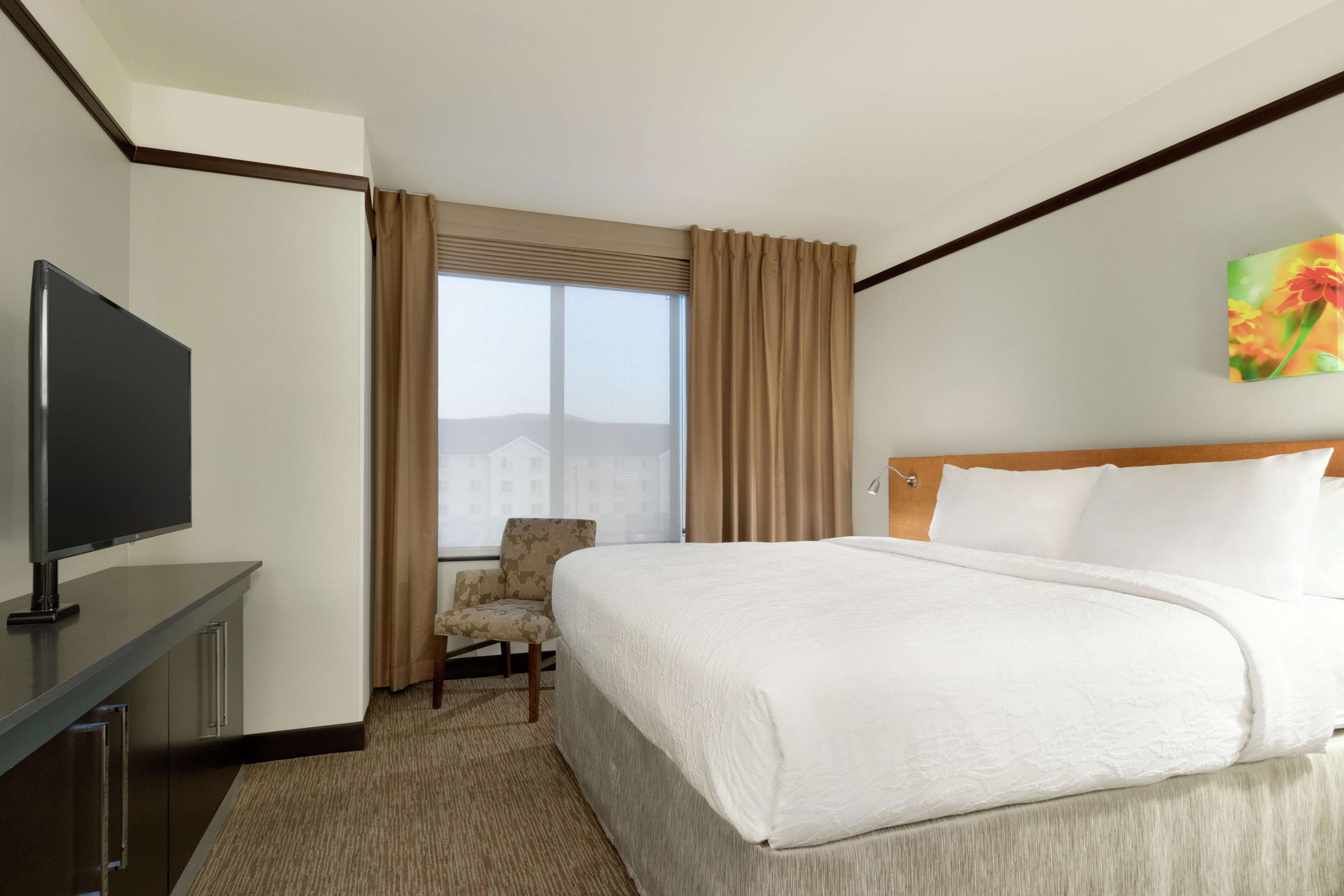 Hilton Garden Inn Medford Photo