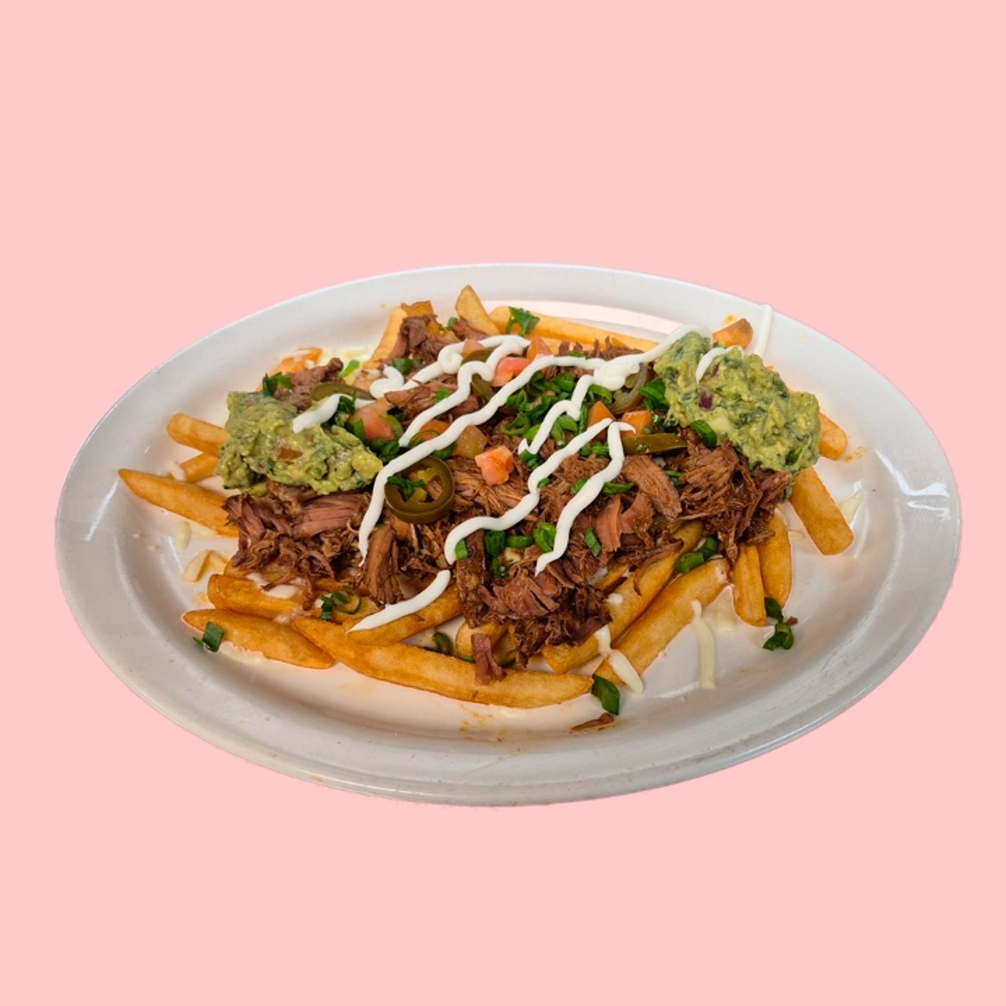 Birria Fries