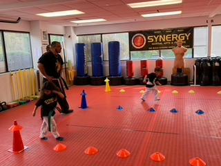 Synergy Martial Arts Photo