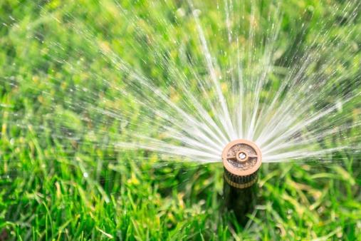 Discount Sprinklers And Landscapes Photo
