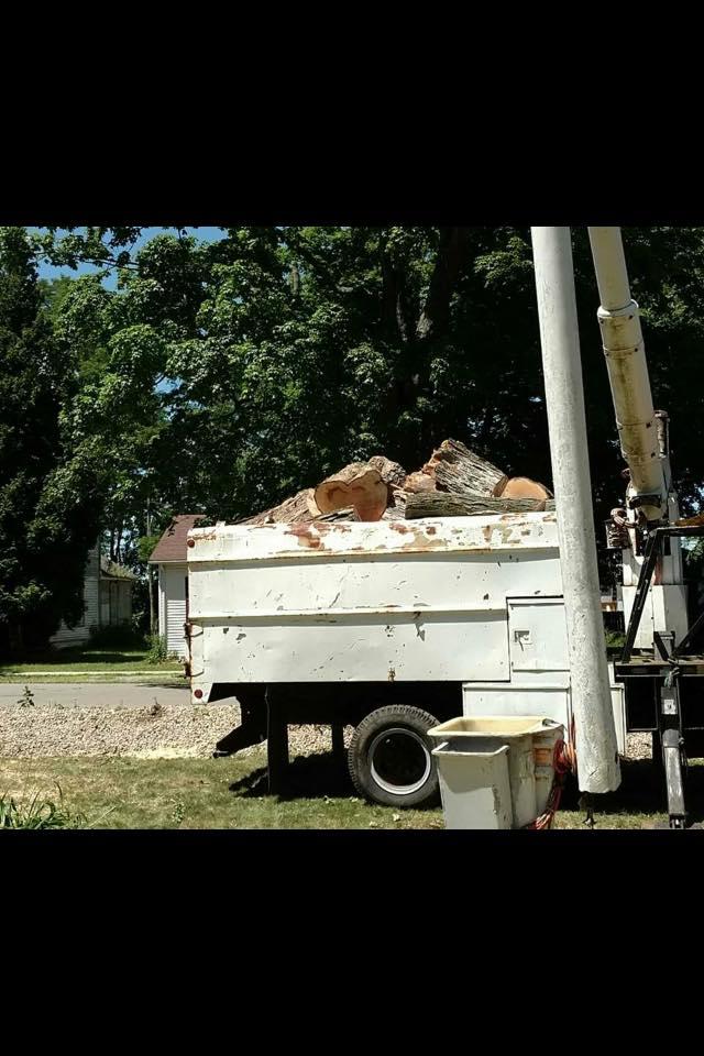 Hackney Tree Service Image