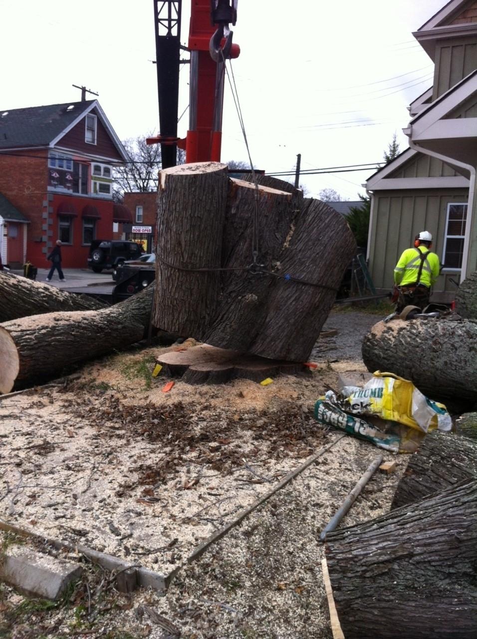 Stump Busters