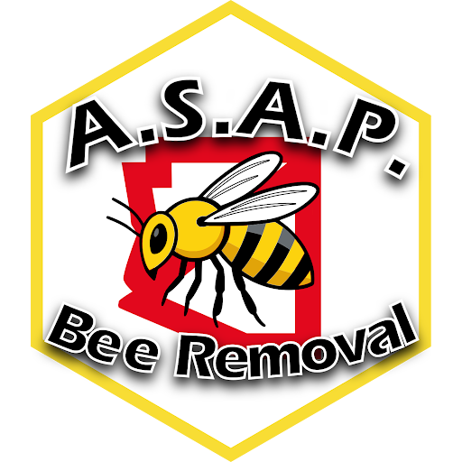 A.S.A.P. Bee Removal