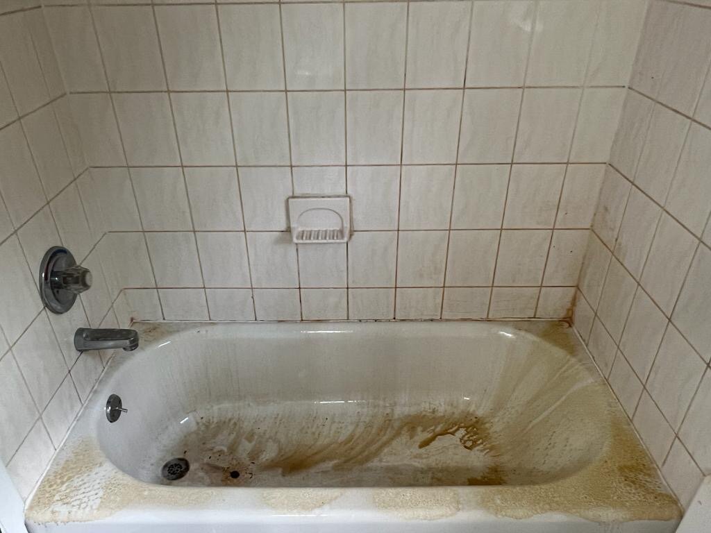 Neia's Shiny Solutions Image