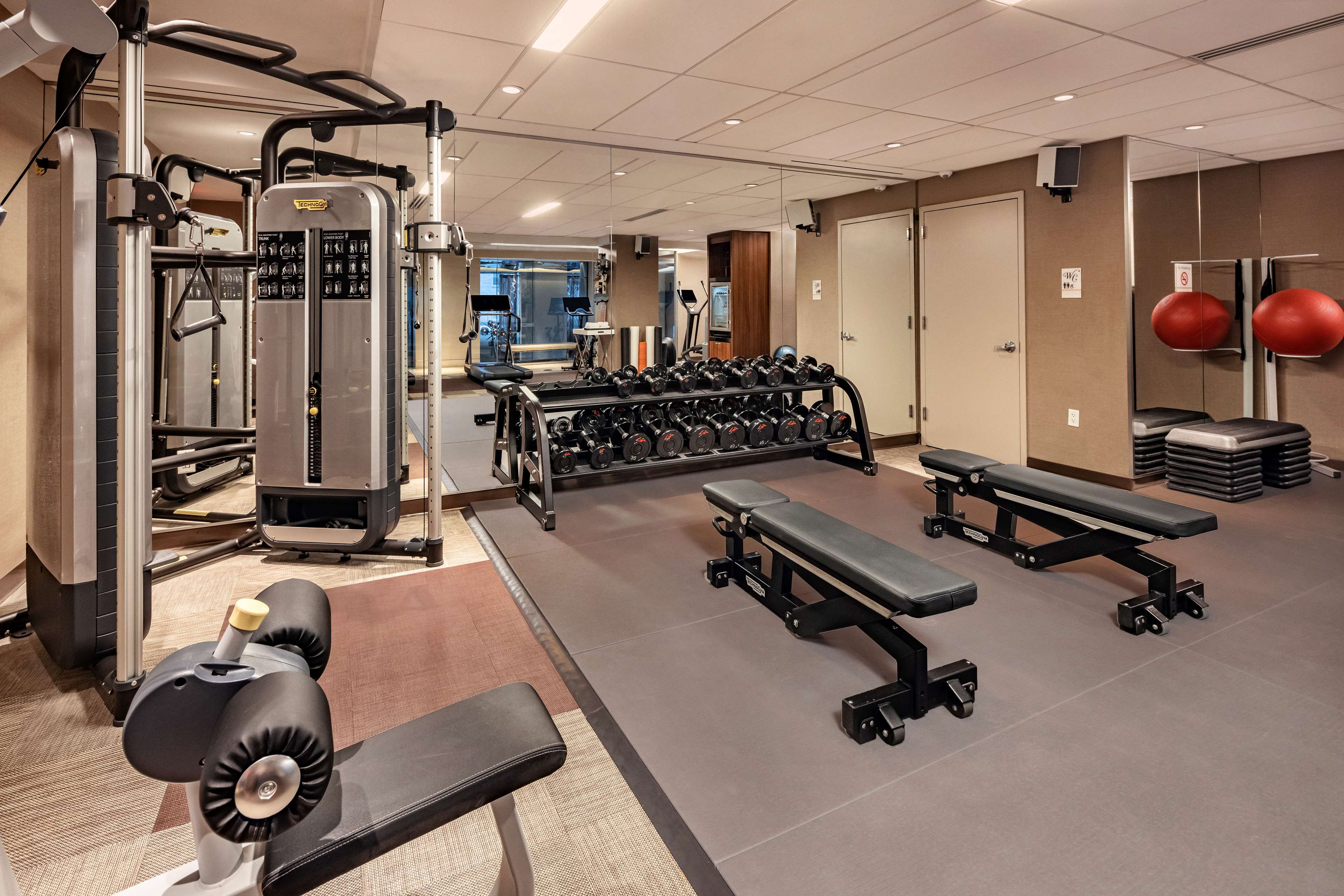 Health club  fitness center  gym