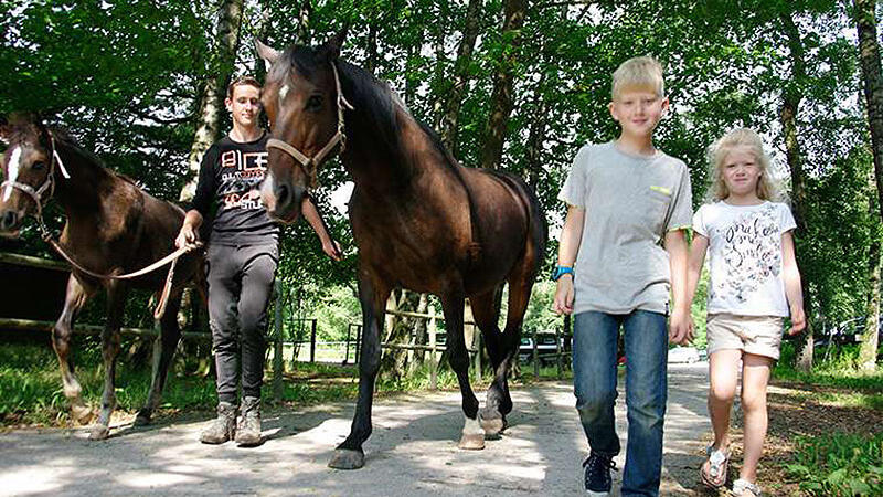 Örebrotravet Örebro Örebrotravet Örebro