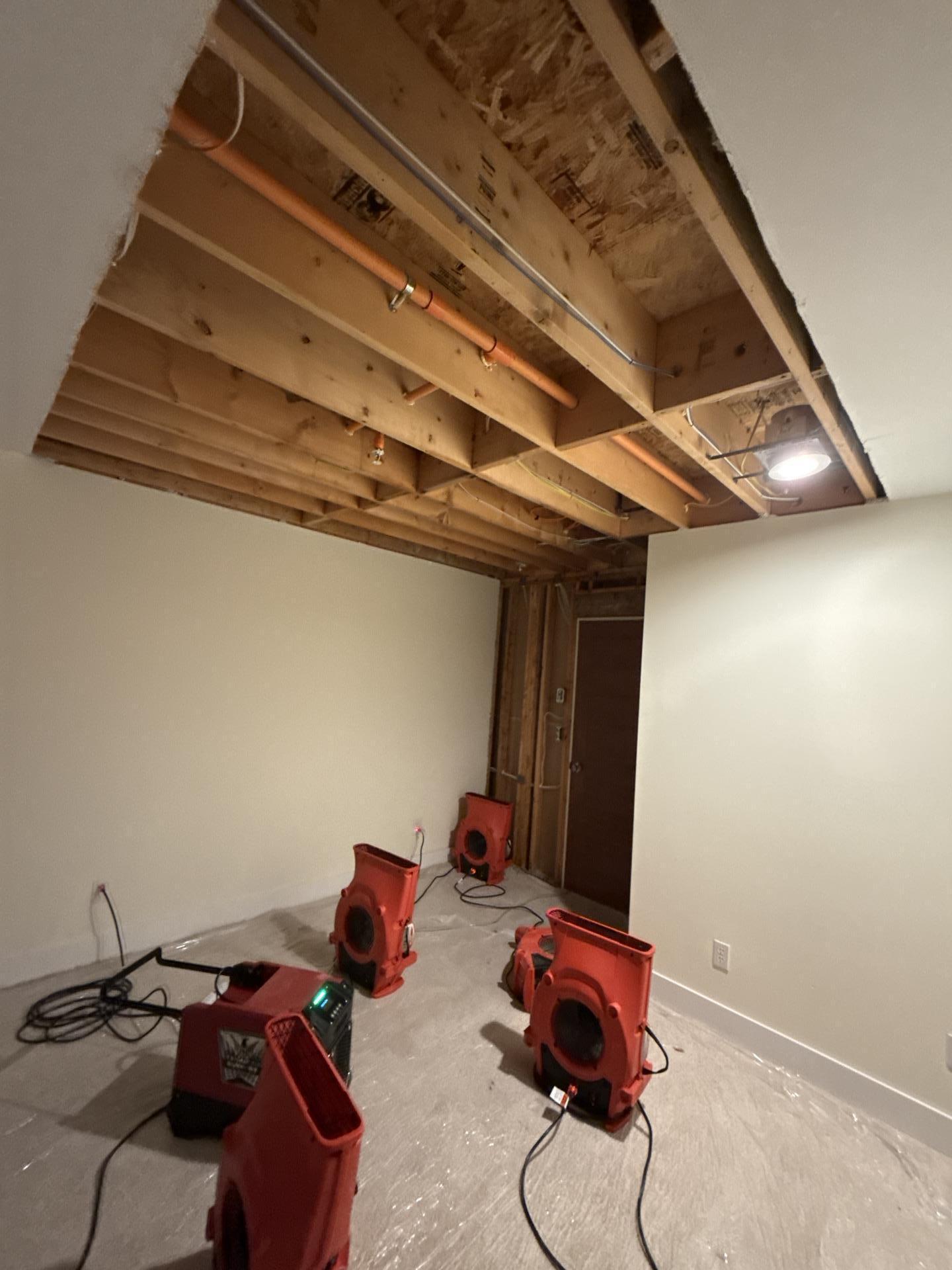 Eco Water Restoration of Seattle