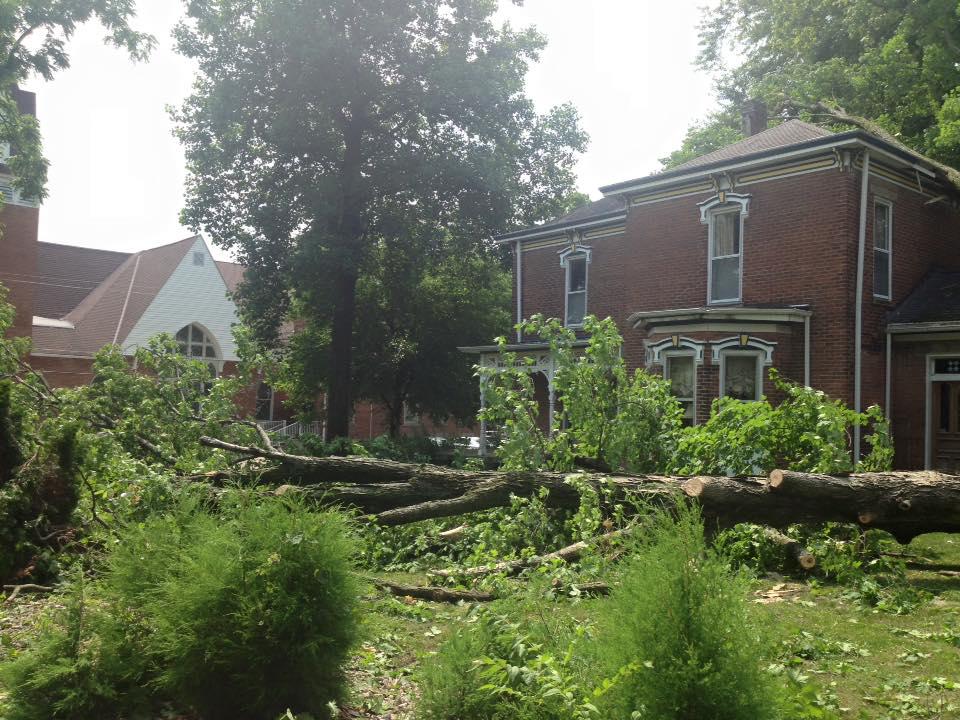 Hackney Tree Service Image