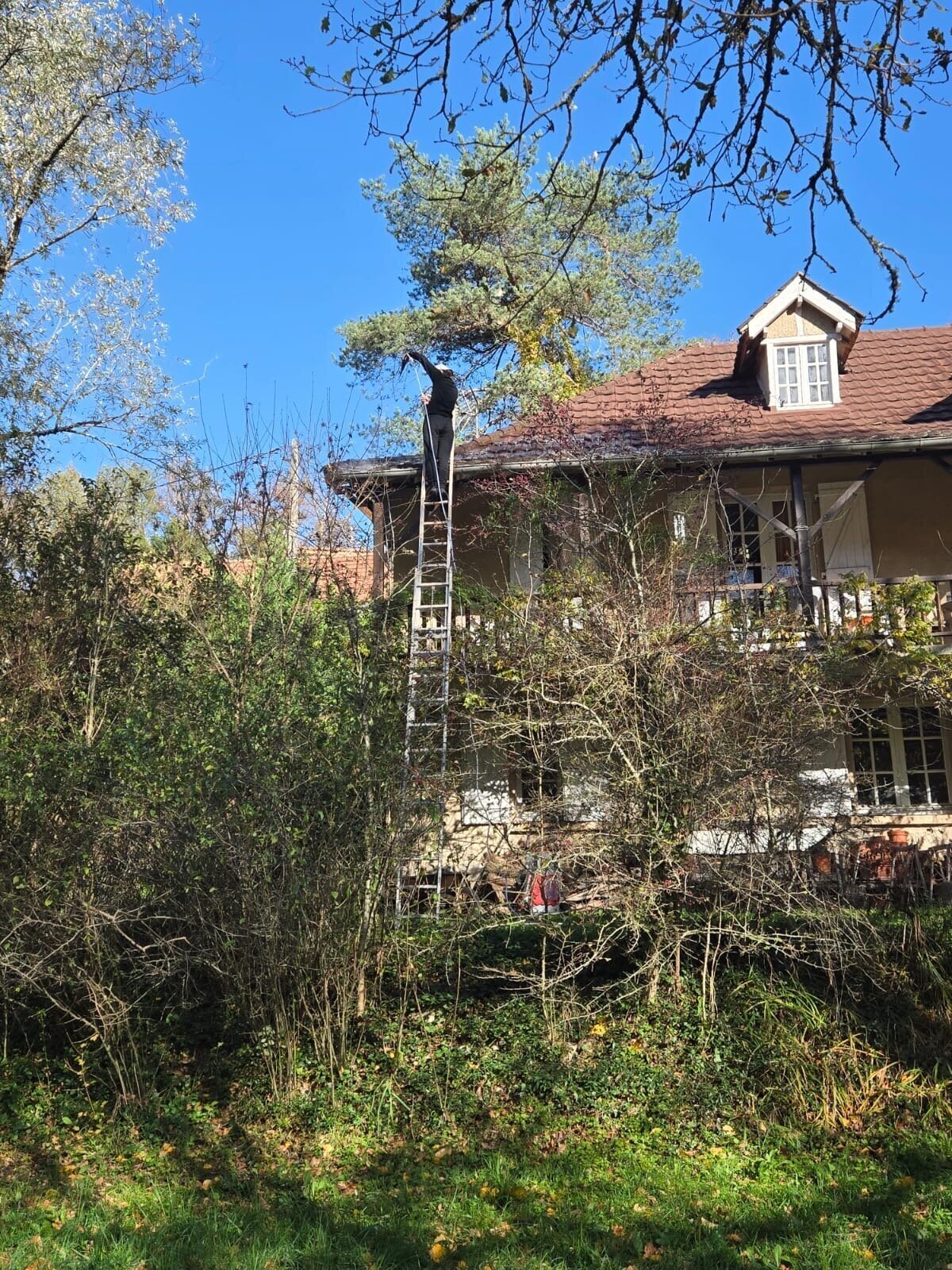 Miniature de la galerie