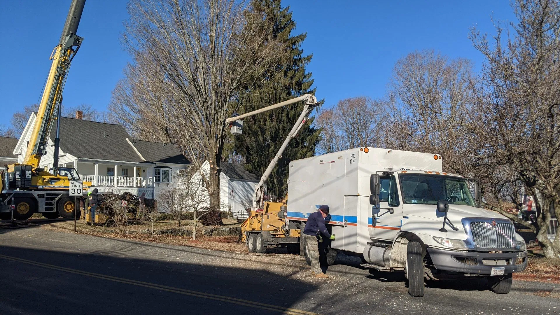 Pruning and Trimming