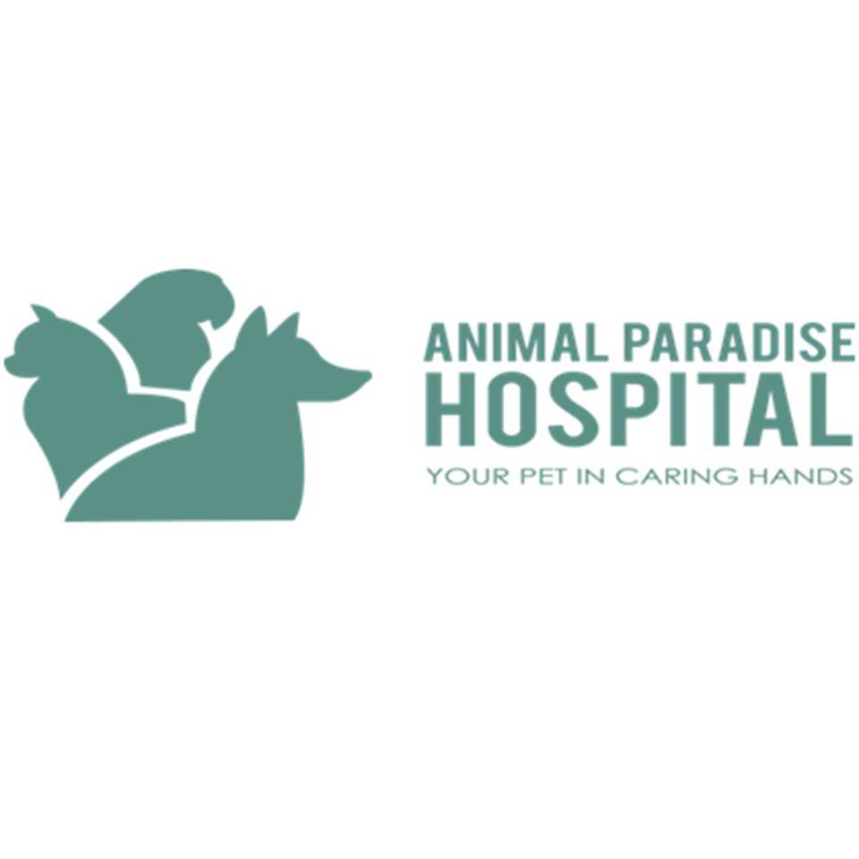 Animal Paradise Hospital Photo